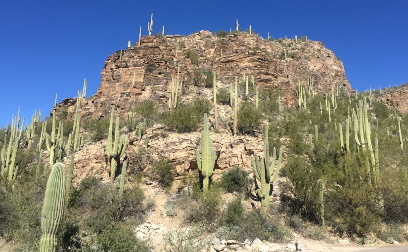 Dry Heat: Reflections on Loss and&nbsp;Love